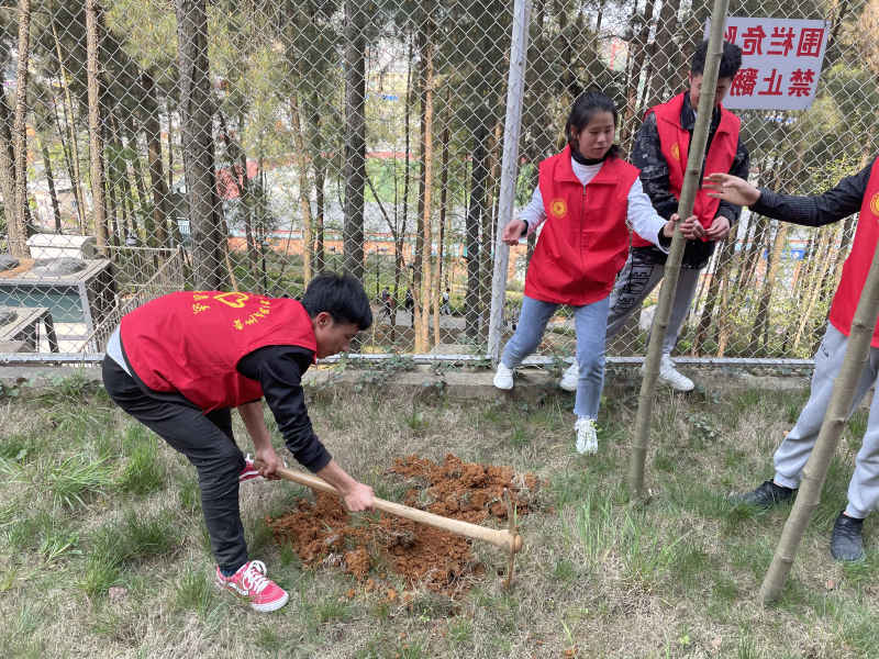 电气工程系学生参加“种树植心，为党献礼”植树活动