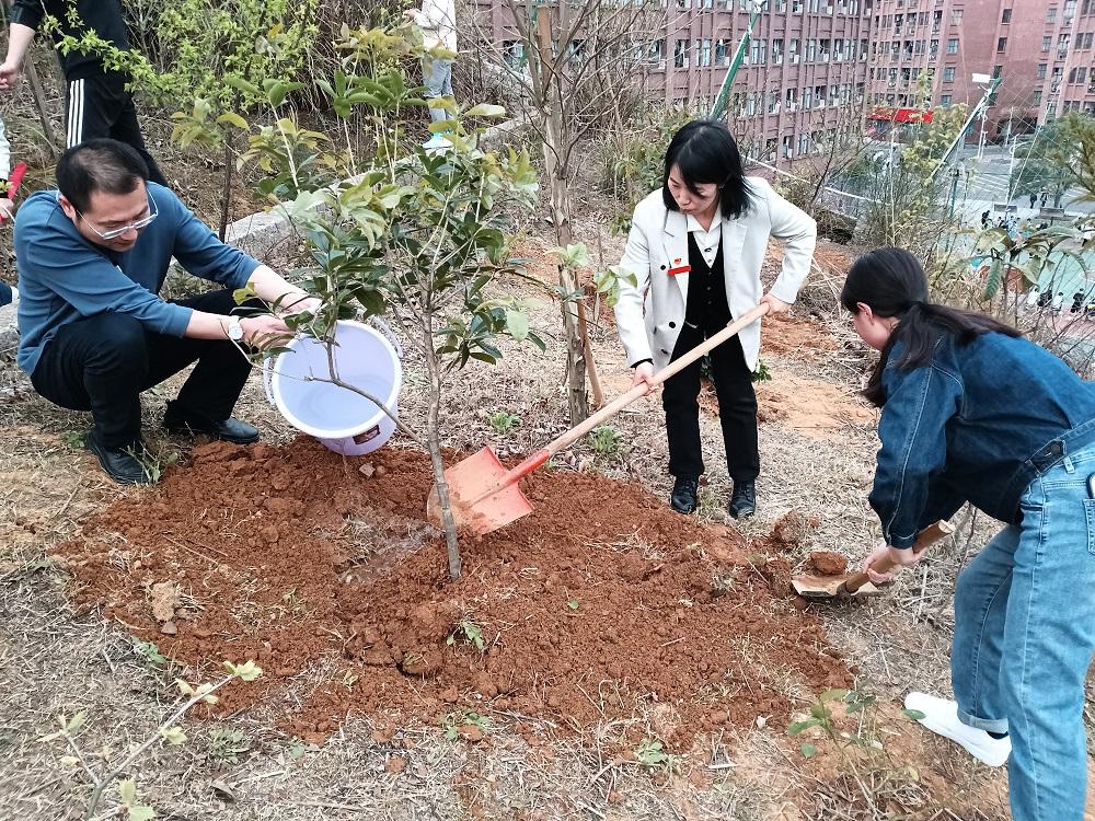 机械工程系党总支、教学教辅部门党支部联合开展“植新绿 树新风”主题党日活动